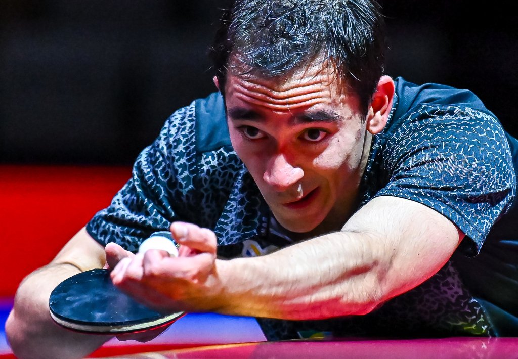 但实际上她 但实际上她