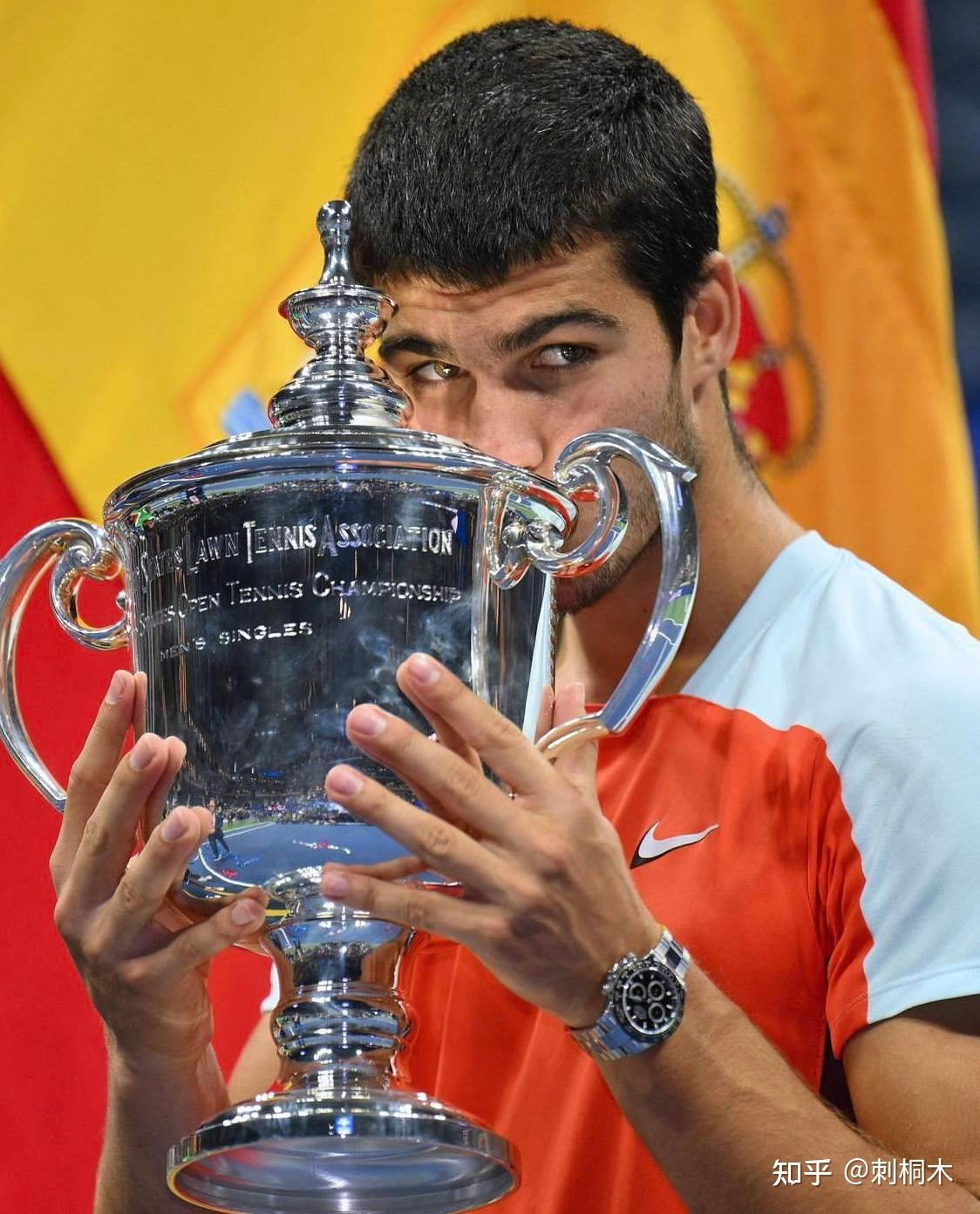 正如业内专 正如业内专